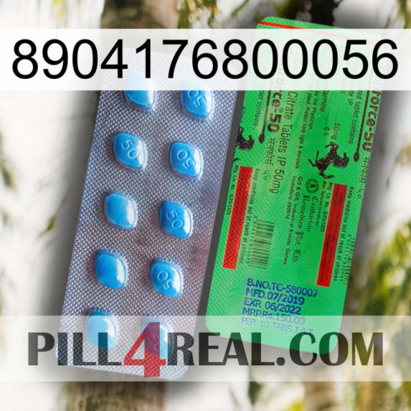 8904176800056 new03
